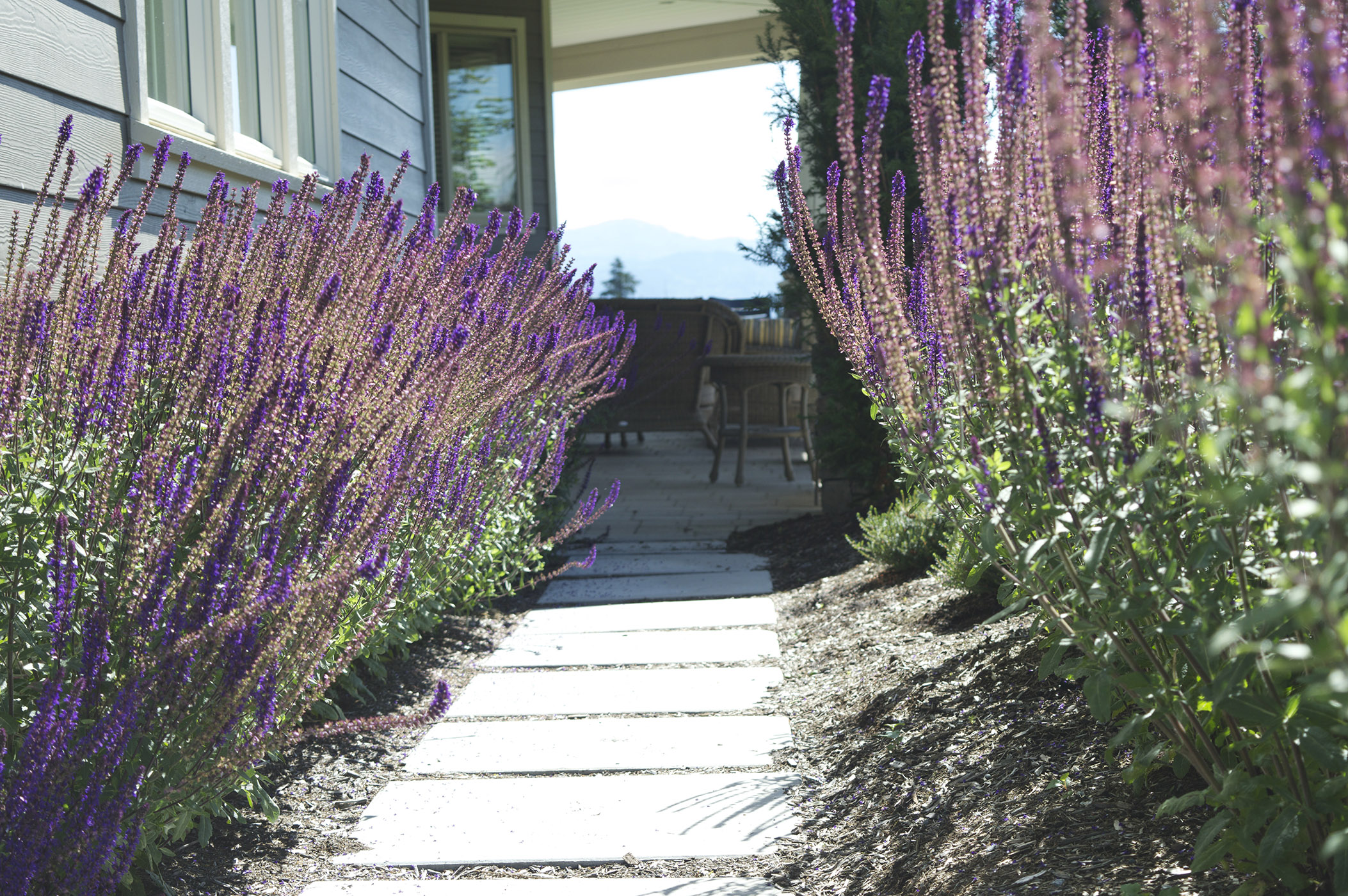 landscaping abbotsford